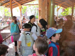 img/2024/skola_v_prirode_24_4/IMG_3659.JPG