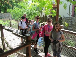 img/2024/skola_v_prirode_24_4/IMG_3664.JPG