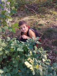 img/2024/vitani_podzimu_24/IMG_20240925_091717_HDR.jpg