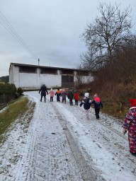 MŠ - návštěva kravína