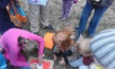 Drakiáda 2015