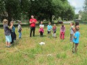 img/old/Sazenice/IMG_1817.JPG