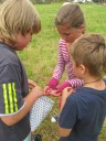 img/old/Sazenice/IMG_1834.JPG