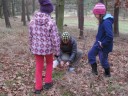 img/old/prirodovedny_krouzek_6/IMG_2913.JPG